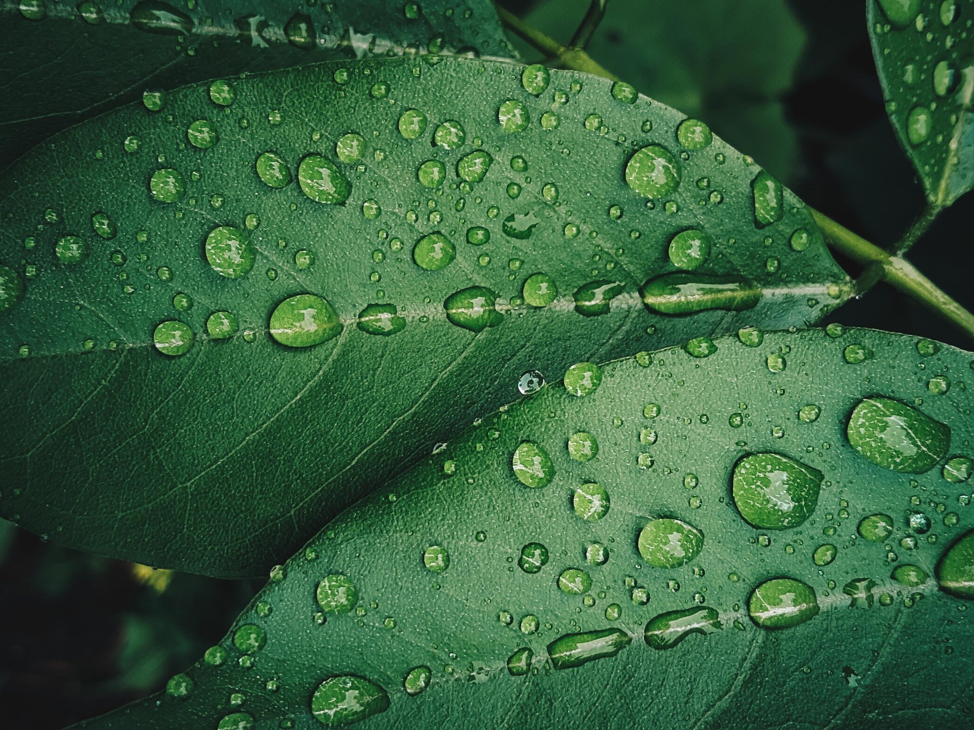 Flag Communication boosts sustainability expertise with bolton